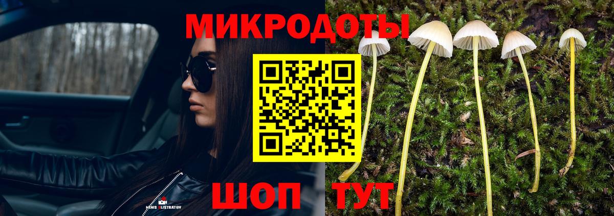 Гай  Галлюциногенные грибы прущие грибы  Вход с VPN  Псилоцибиновые грибы Cubensis 